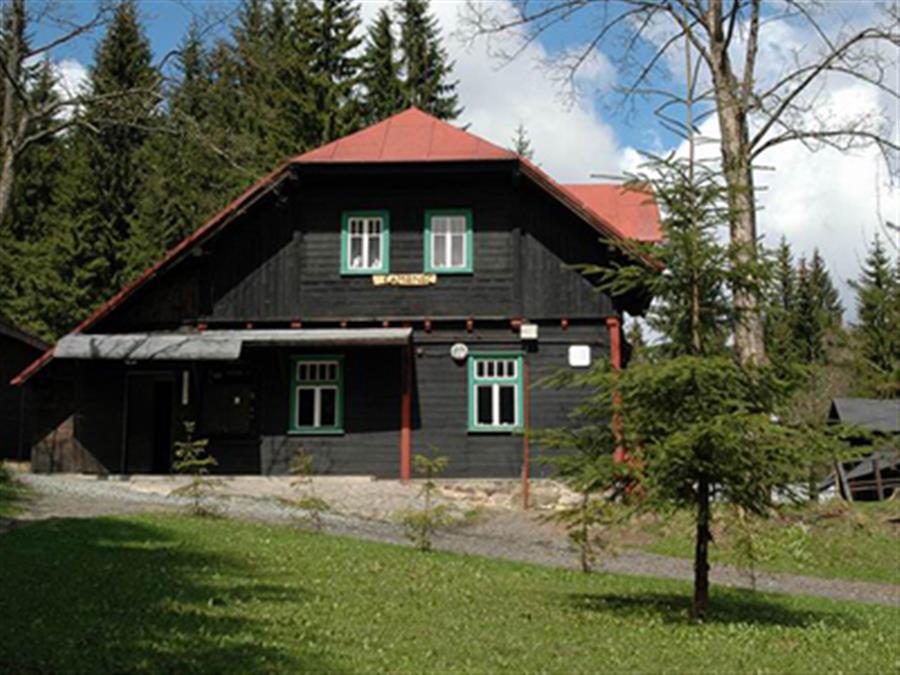 Kamenec v Orlickch horch